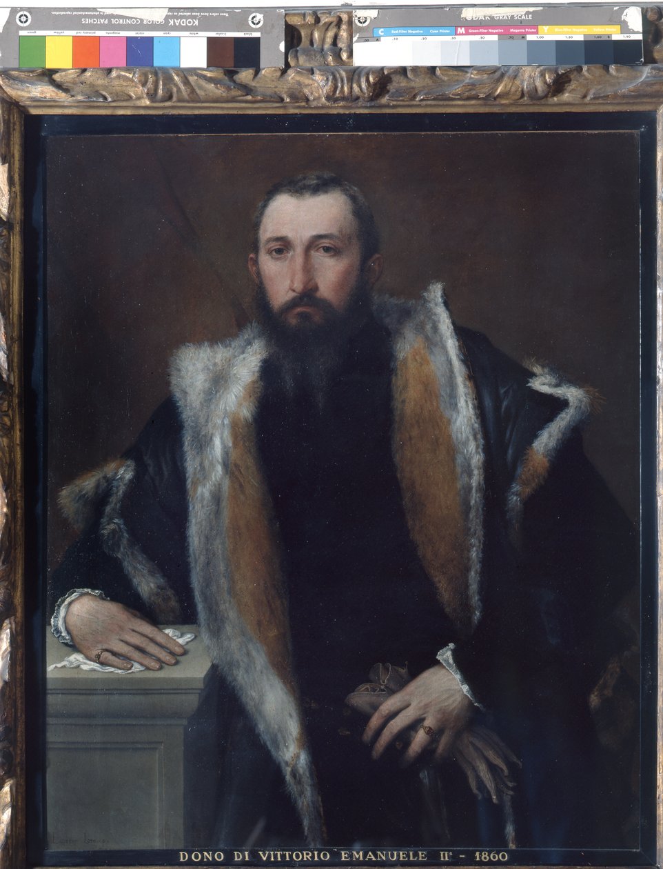 Portræt af Febo fra Brescia af Lorenzo Lotto