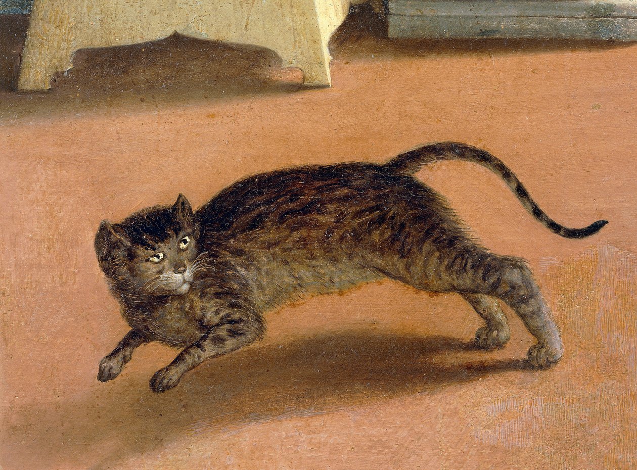 Skræmt kat, detalje fra Recanati Annunciation, ca 1534, af Lorenzo Lotto (1480-1556), olie på lærred af Lorenzo Lotto