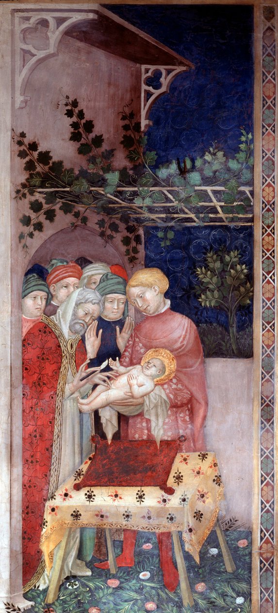 Johannes Døberens omskæring (fresco af Lorenzo Salimbeni