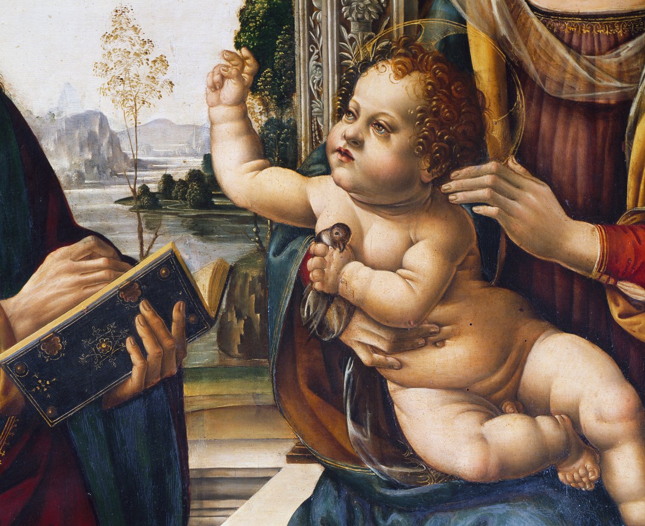 Baby Jesus, detalje fra Madonna and Child with Saints af Lorenzo di Credi