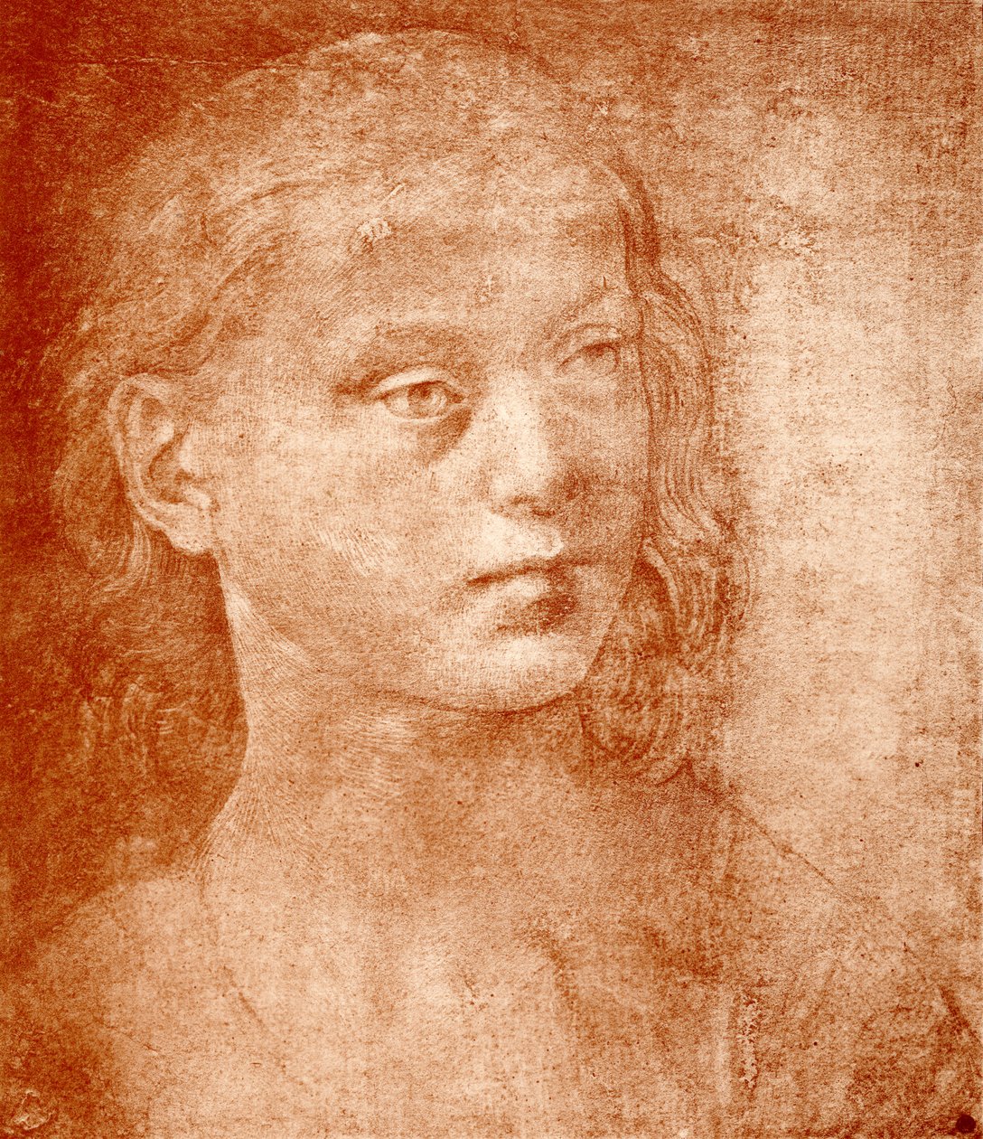 Piges hoved af Lorenzo di Credi