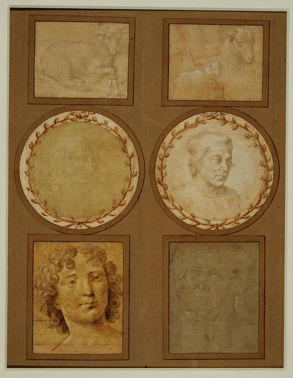 Studie af et lam med forfødderne bundet ... af Lorenzo di Credi