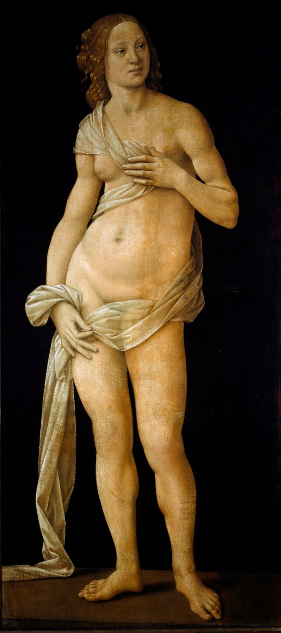 Venus (tempera på træ, ca. 1490) af Lorenzo di Credi