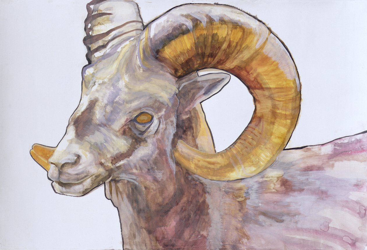 American Long Horn, 2004 (akvarel og akryl på gesso på papir) af Lou Gibbs