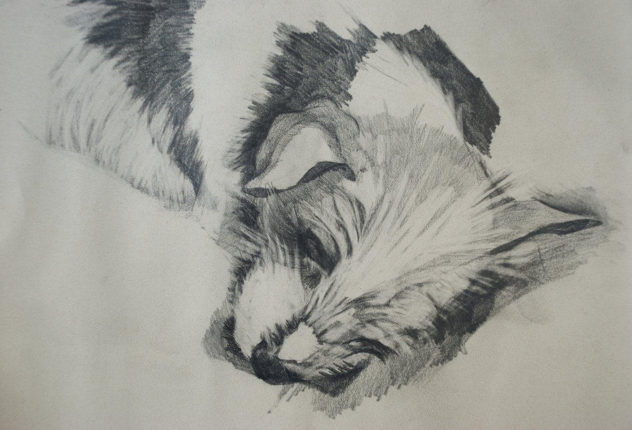 Jack Russel, 2015, af Lou Gibbs