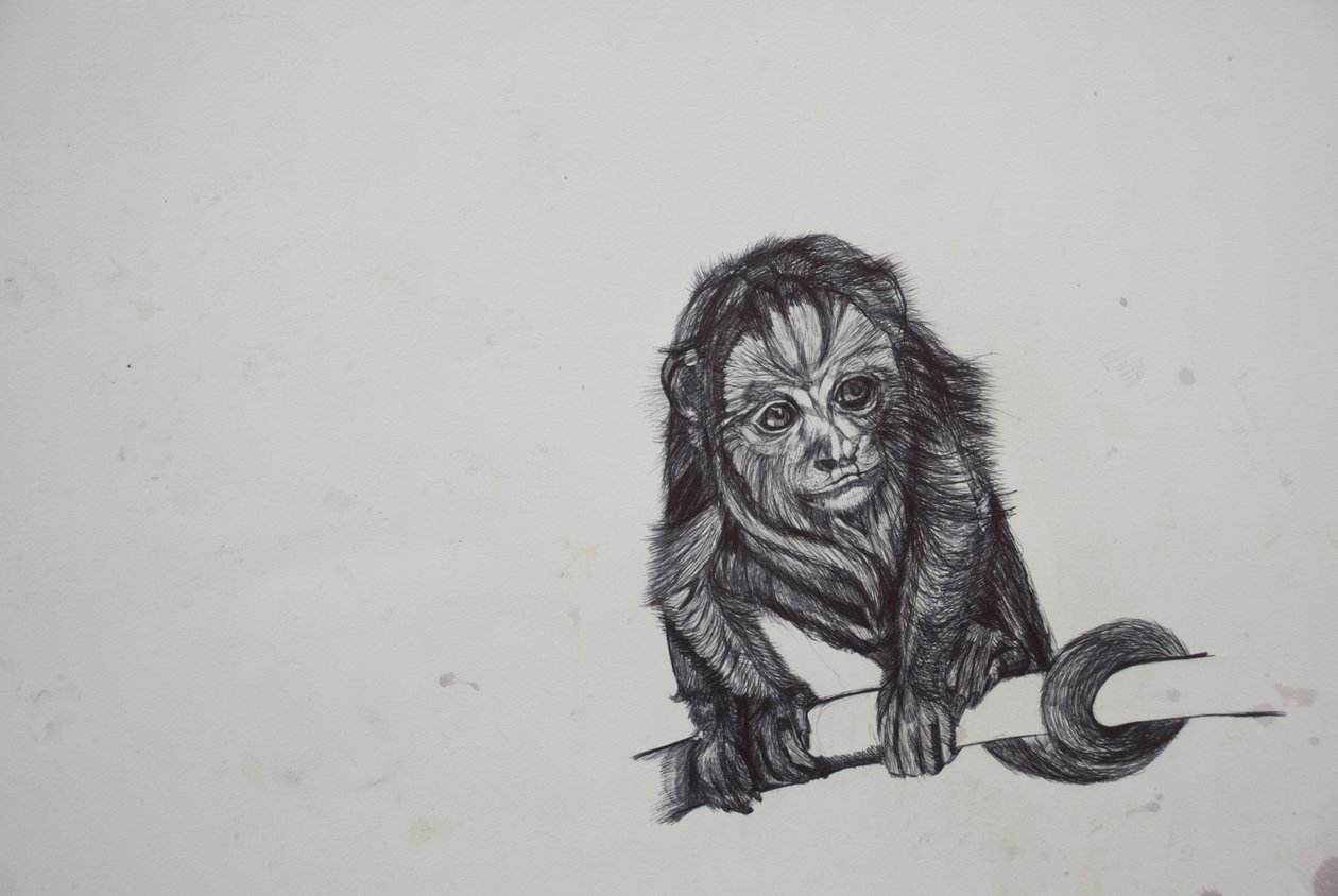 Monkey Business,2016,(bic biro på papir) af Lou Gibbs
