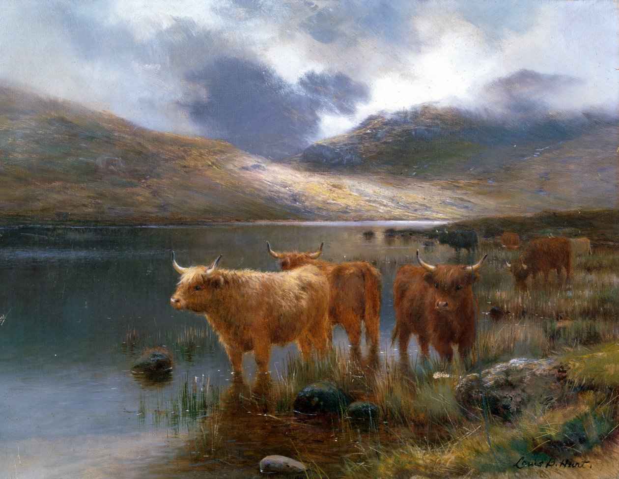 Highland Cattle ved en Loch af Louis Bosworth Hurt
