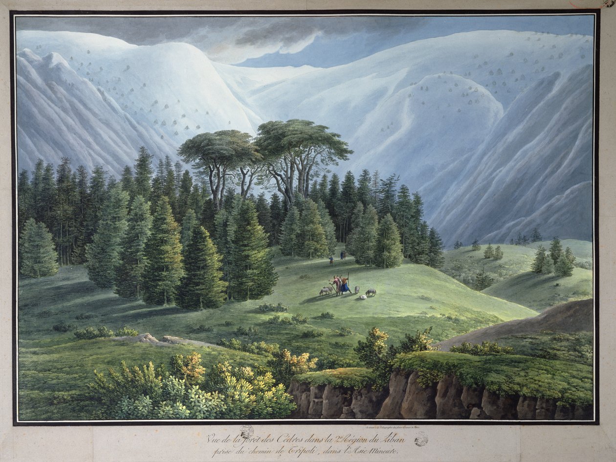 Udsigt over cederskovene i Libanon set fra Tripoli-vejen, ca. 1800 (blæk og wc på papir) af Louis Francois Cassas