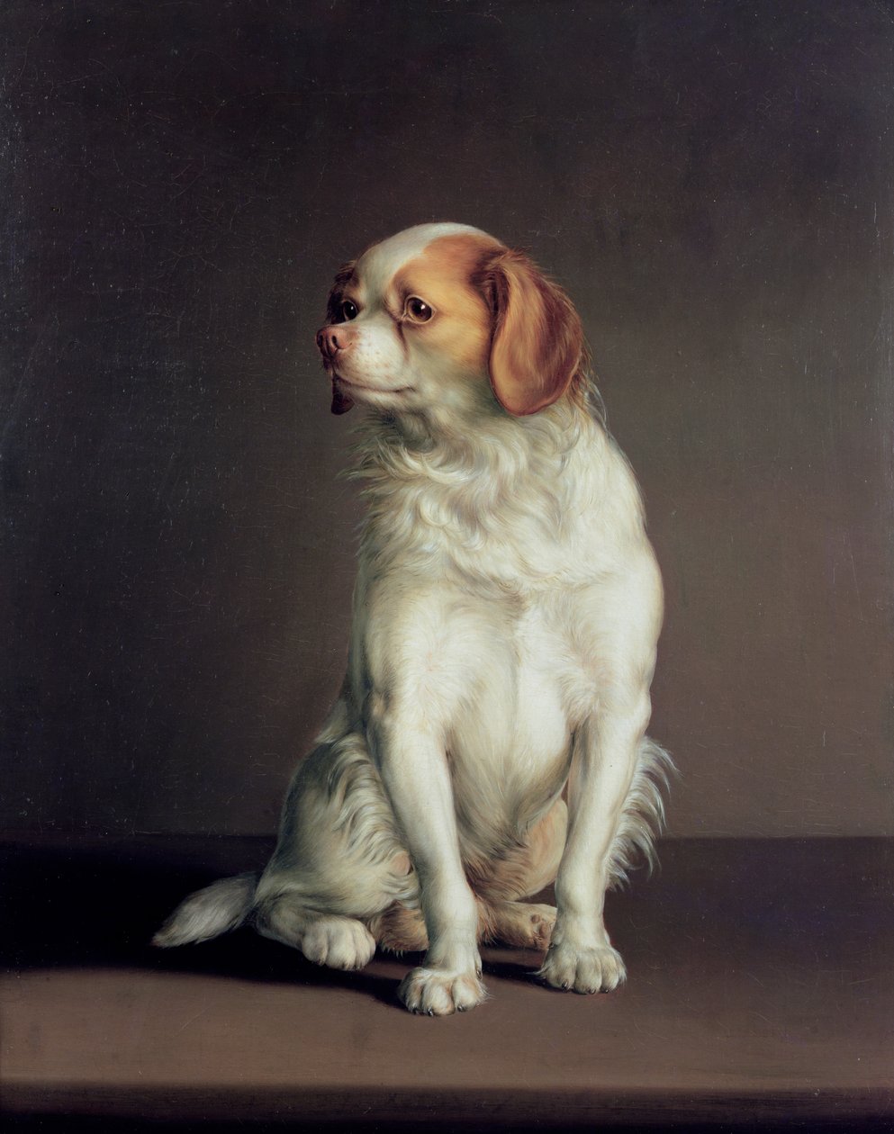 Portræt af en King Charles Spaniel af Louis Leopold Boilly