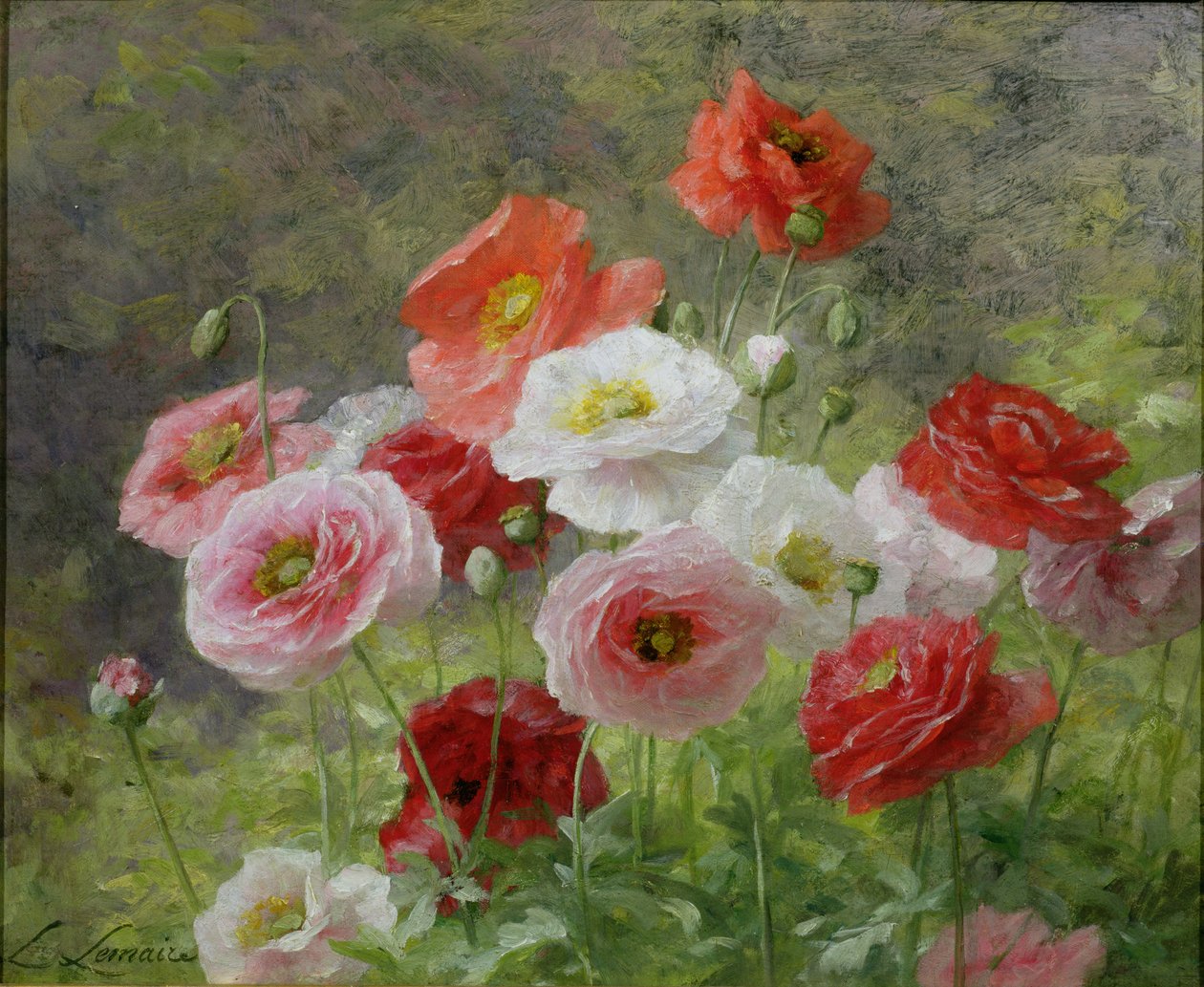 Klynge af valmuer, 1884 af Louis Marie Lemaire