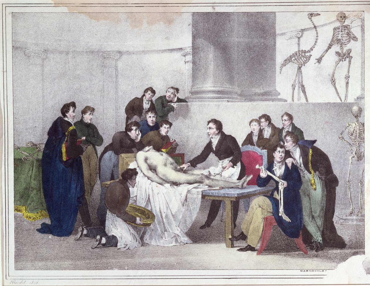 Anatomi lektionen, 1826 af Louis Thomas Bardel
