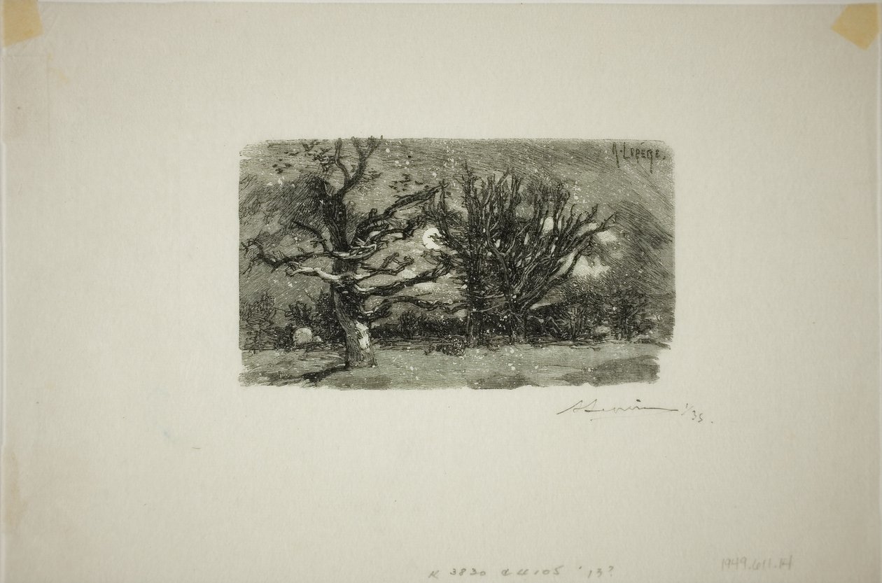 Au Dormoir de Lantara af Louis Auguste Lepère