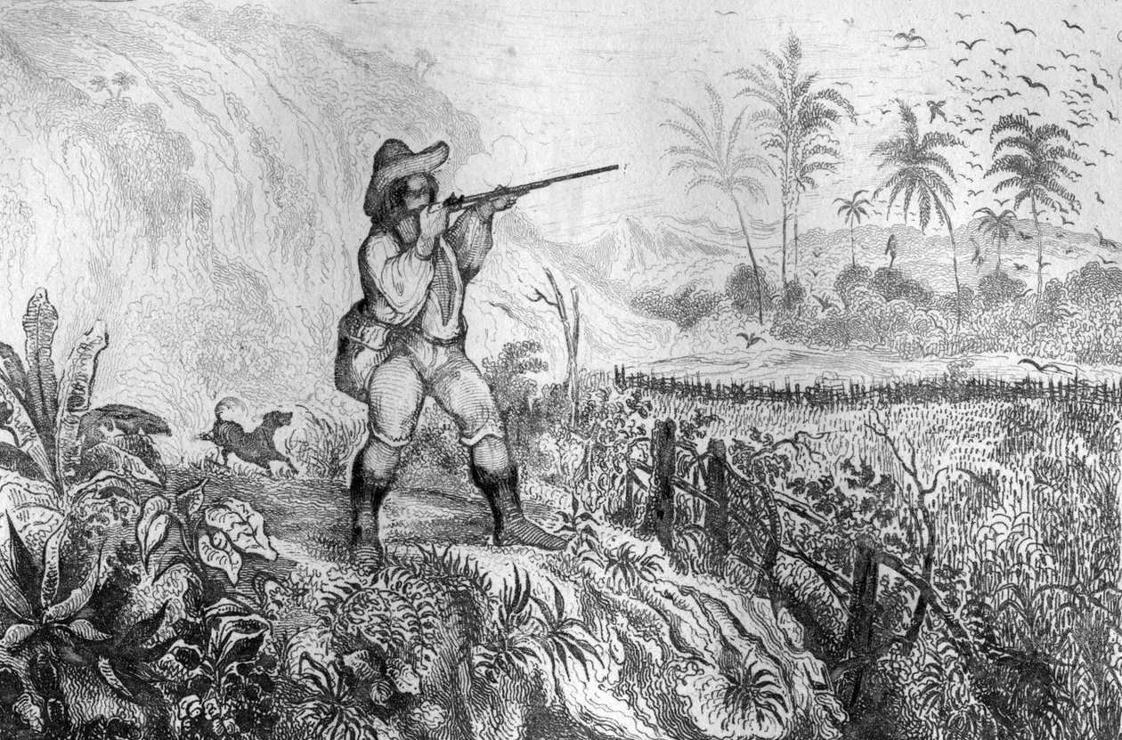 Jeg dræbte tre... gravering efter M. de Sainsons tegning til Daniel Defoes Bog (De foe) "Robinson Crusoe"" fransk udgave af 1837. af Louis Auguste de Sainson