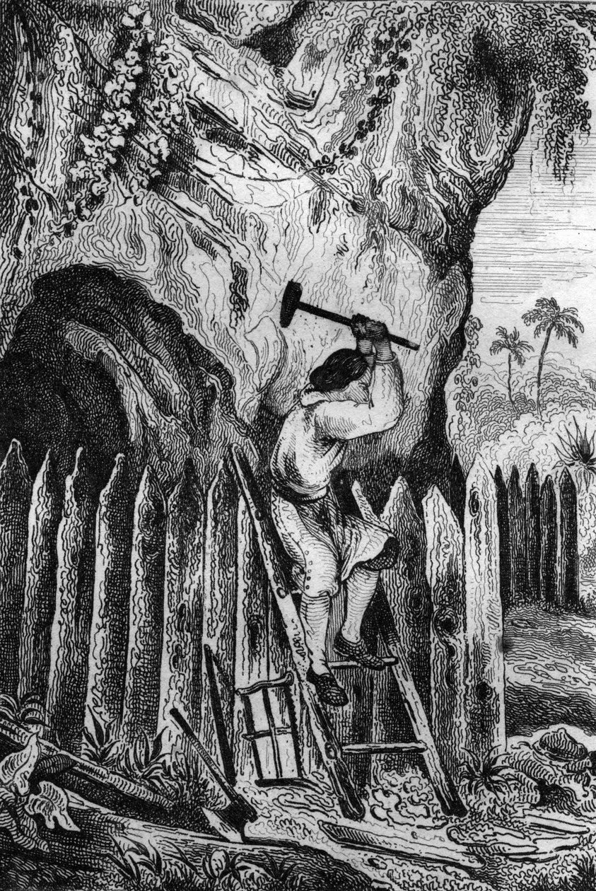 Jeg plantede ti rækker palisader. gravering efter M. de Sainsons tegning til Daniel Defoes Bog (De foe) "Robinson Crusoe"" fransk udgave af 1837. af Louis Auguste de Sainson