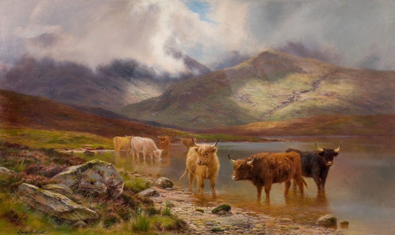 Highland Cattle (olie på lærred) af Louis Bosworth Hurt