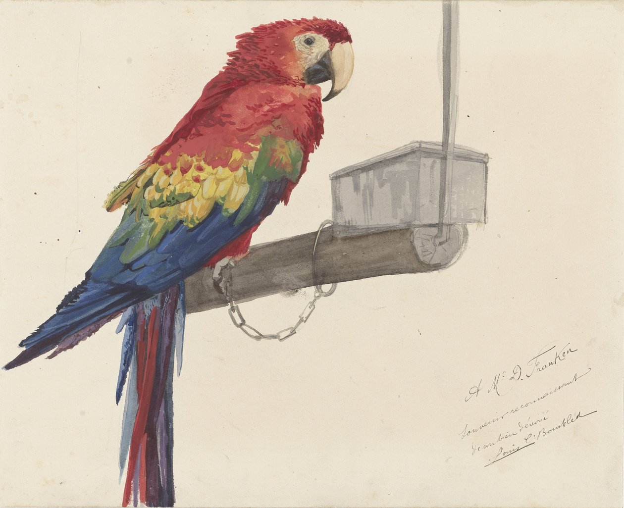 Papegøje af Louis Charles Bombled