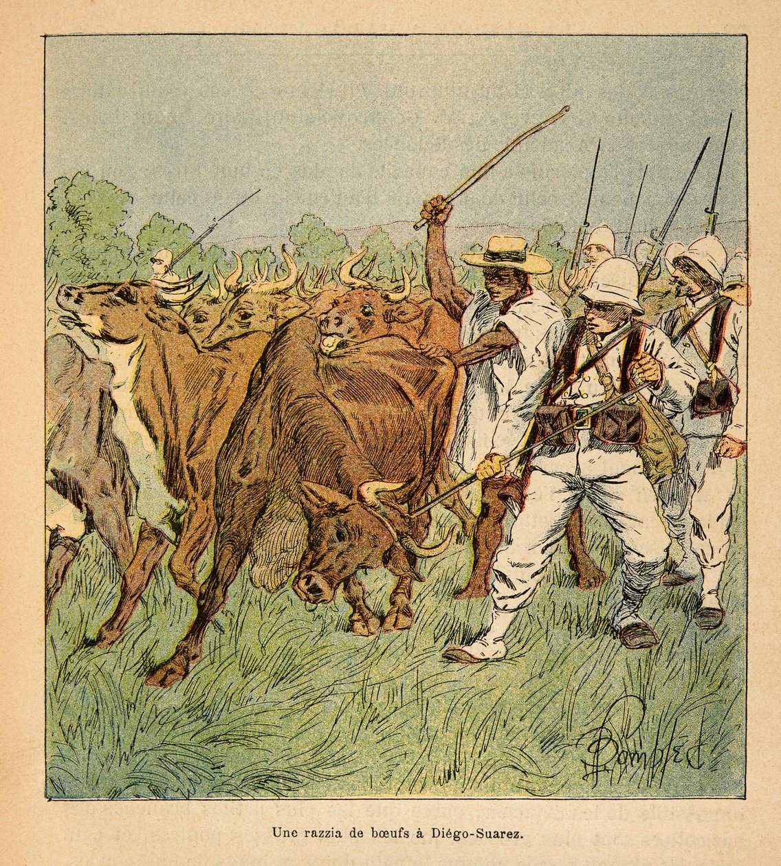 The War in Madagascar-Anecdotal History of the French Expeditions of 1885-1895 af Henri Galli dit Galllichet (1854-1922), illustreret af Louis Bombled (1862-1927): I Diego-Suarez kræver den franske hær okser, Privat samling af Louis Charles Bombled