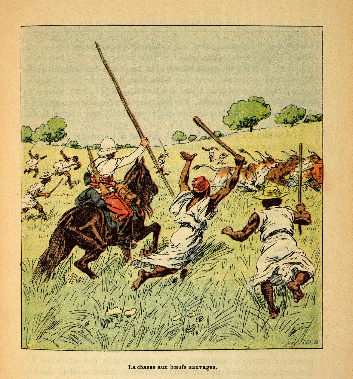 The War in Madagascar-Anecdotal History of the French Expeditions of 1885-1895 af Henri Galli dit Galllichet (1854-1922), illustreret af Louis Bombled (1862-1927): Jagten på vilde okser i Madagaskar i 1895, privat samling af Louis Charles Bombled