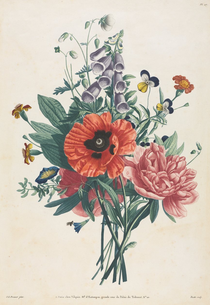 Samling af blomster og frugter malet efter naturen: Buket af Foxglove, Clematis, Pansy, Peony, Poppy og Yellow Day Lily af Louis Charles Ruotte