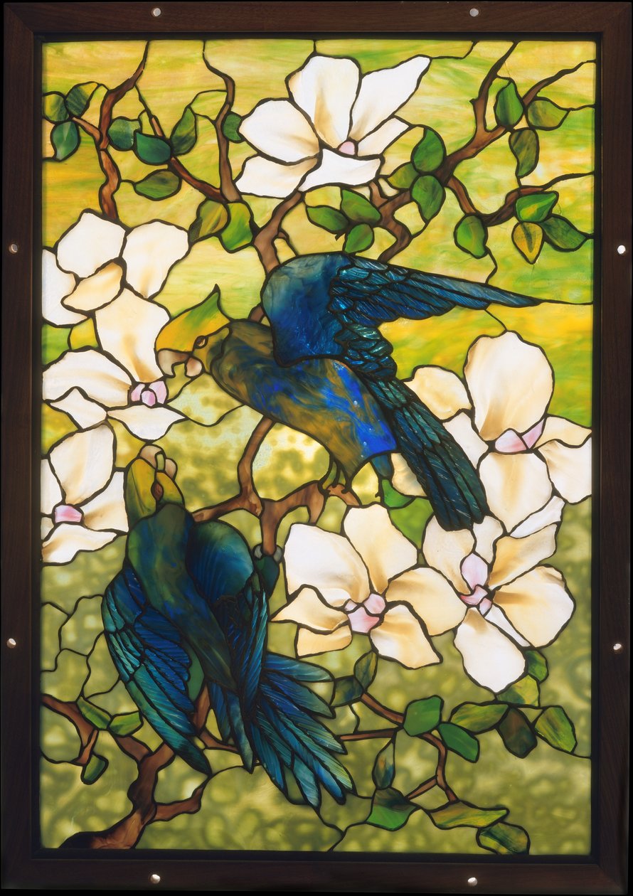 Hibiscus og papegøjer, ca. 1910-20 (blyholdigt skrøbeligt glas) af Louis Comfort Tiffany