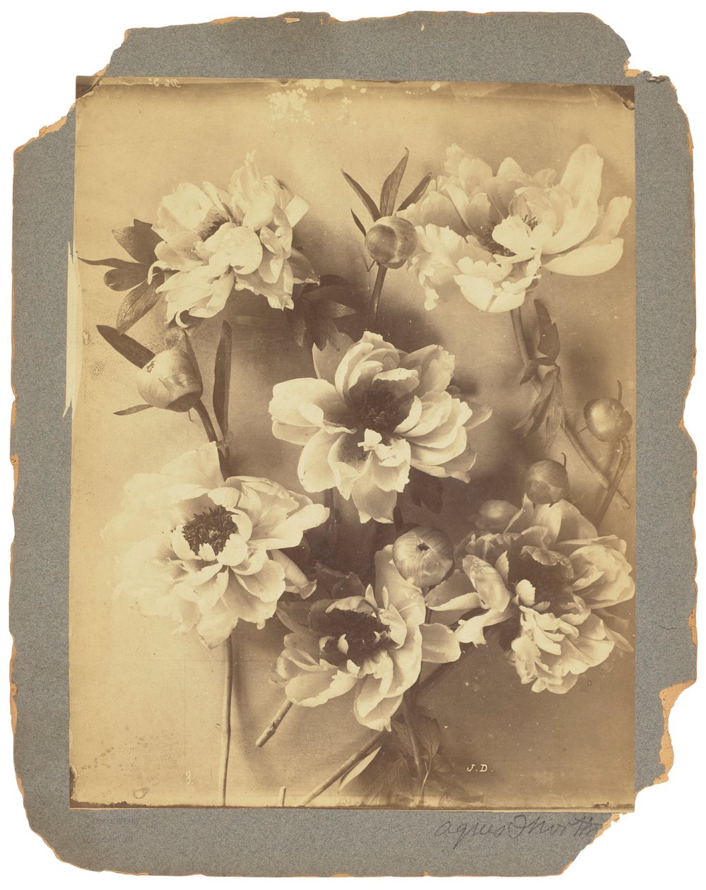 Tiffany Studios, ca. 1898-1920 (fotografi s/h) af Louis Comfort Tiffany