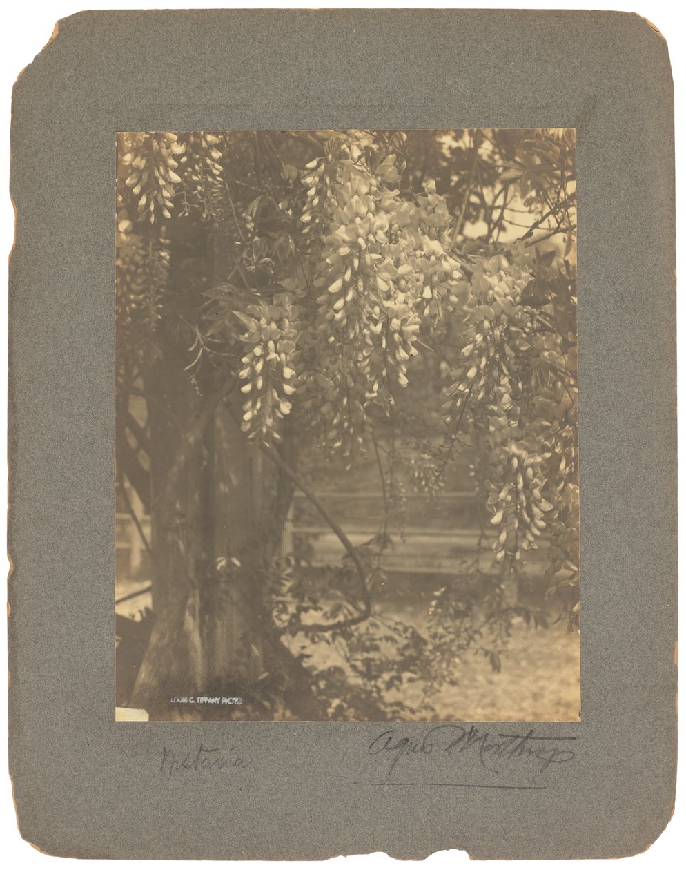 Tiffany Studios, ca. 1898-1920 (fotografi s/h) af Louis Comfort Tiffany