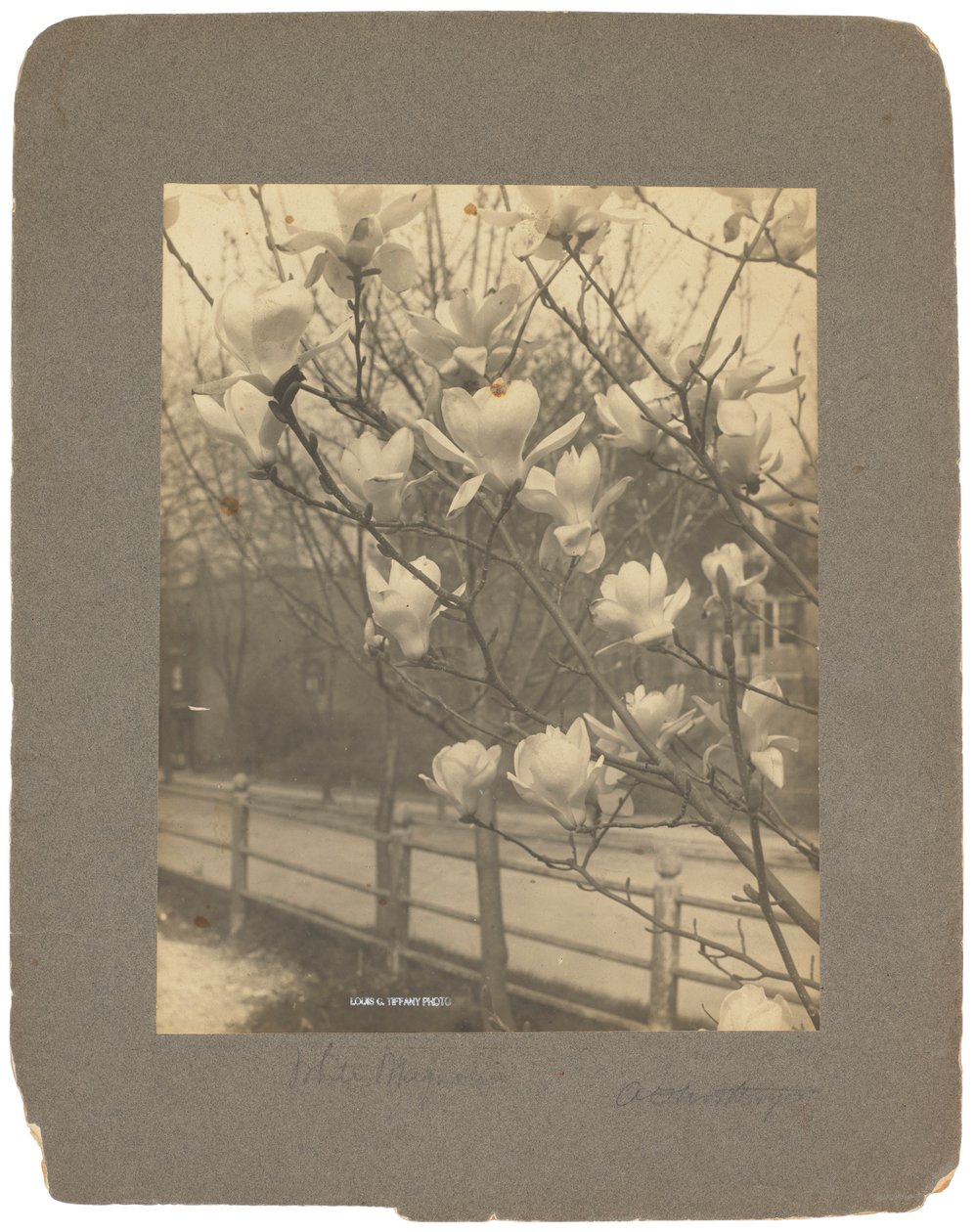Tiffany Studios, ca. 1898-1920 (fotografi s/h) af Louis Comfort Tiffany