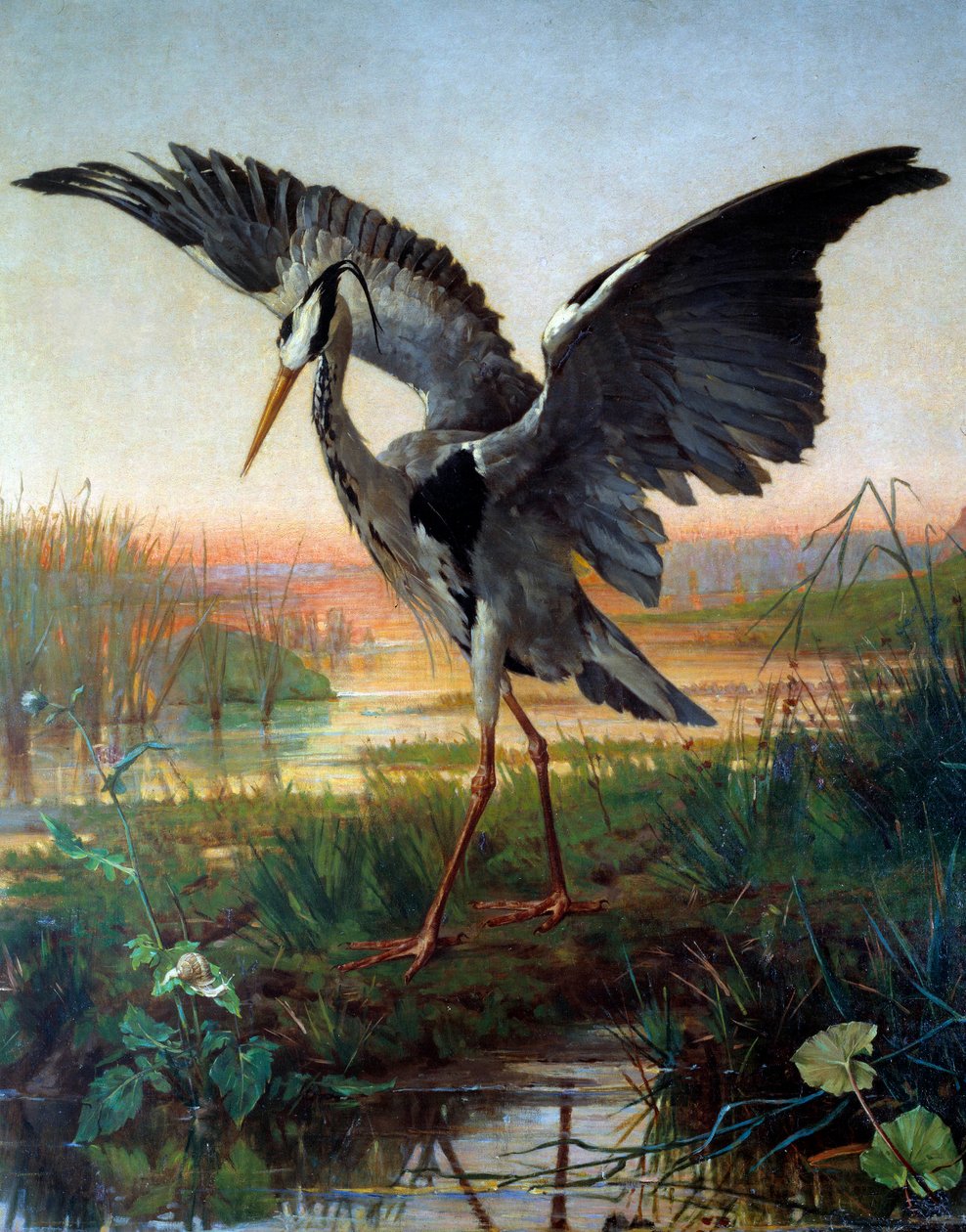 Hejren. Illustration til fabelen ""Hejren og sneglen"" af Jean de La Fontaine af Louis Emile Villa
