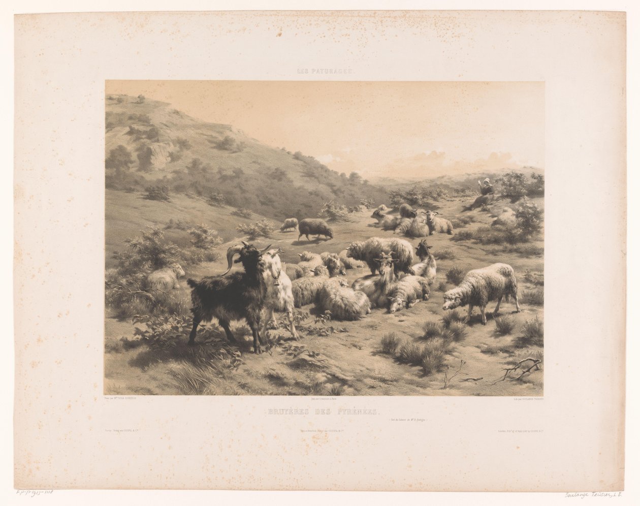 Hyrdinde med geder og får i Pyrenæerne Bruyeres des Pyrenees (titel på objekt) Græsgange (serietitel) Les paturages (serietitel på objekt) af Louis Emmanuel Soulange Teissier