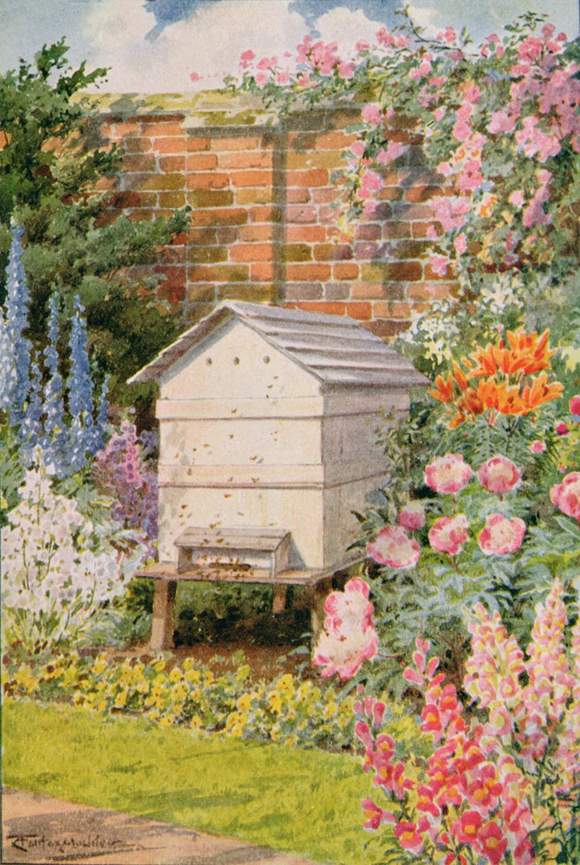 A Beehive, illustration fra 