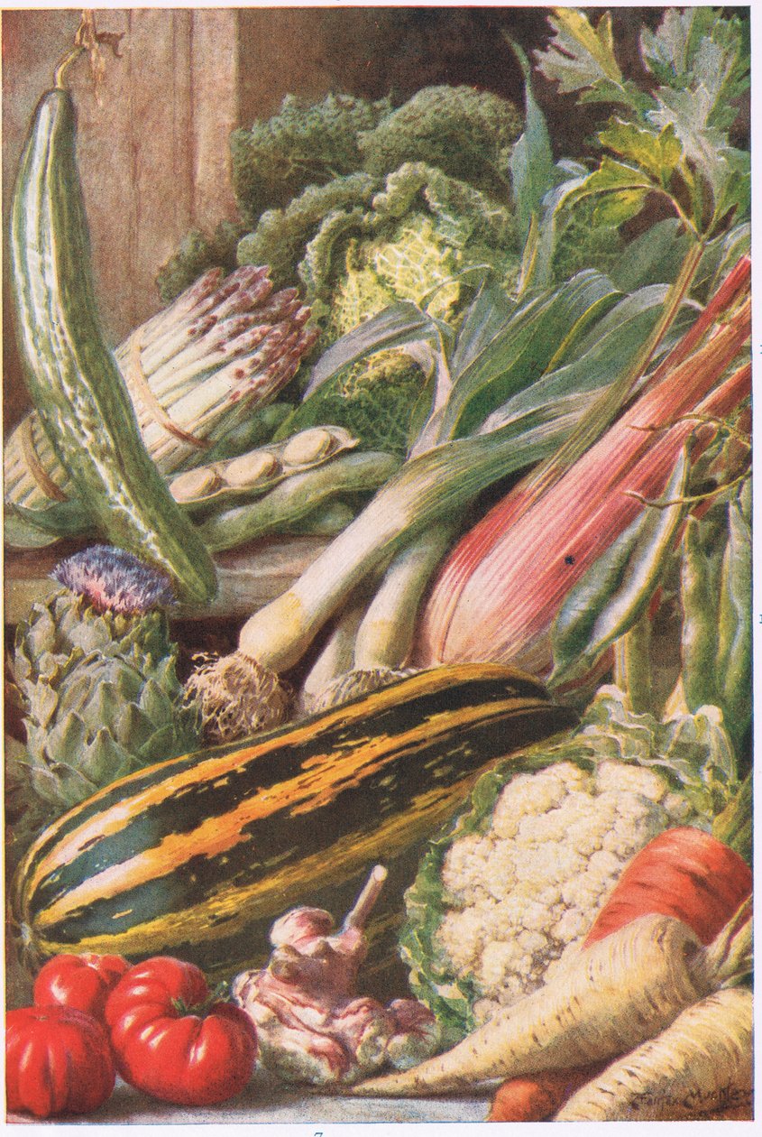 Havegrøntsager, illustration fra 