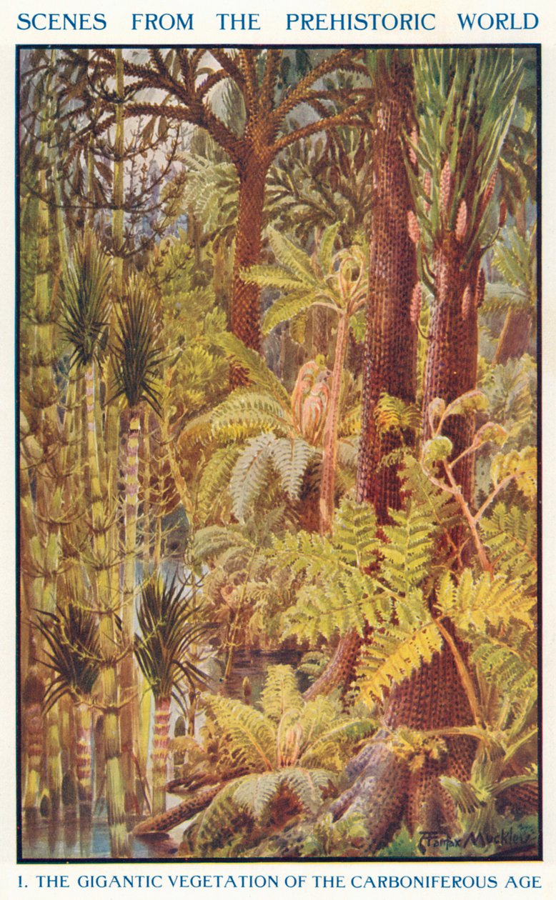 Den gigantiske vegetation i kultiden (farvelitografi) af Louis Fairfax Muckley