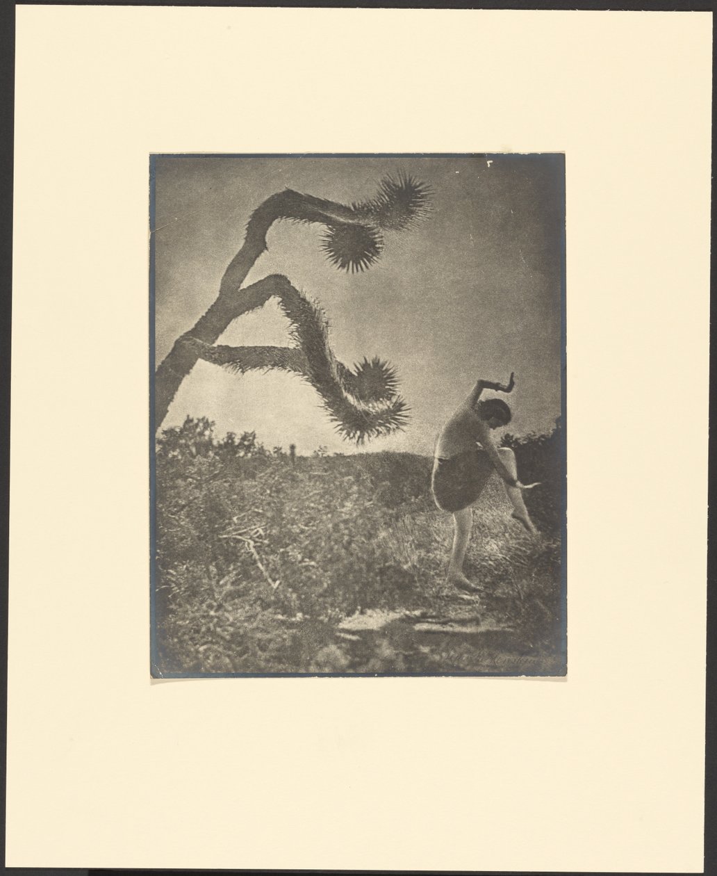 Apache-dans af Louis Fleckenstein