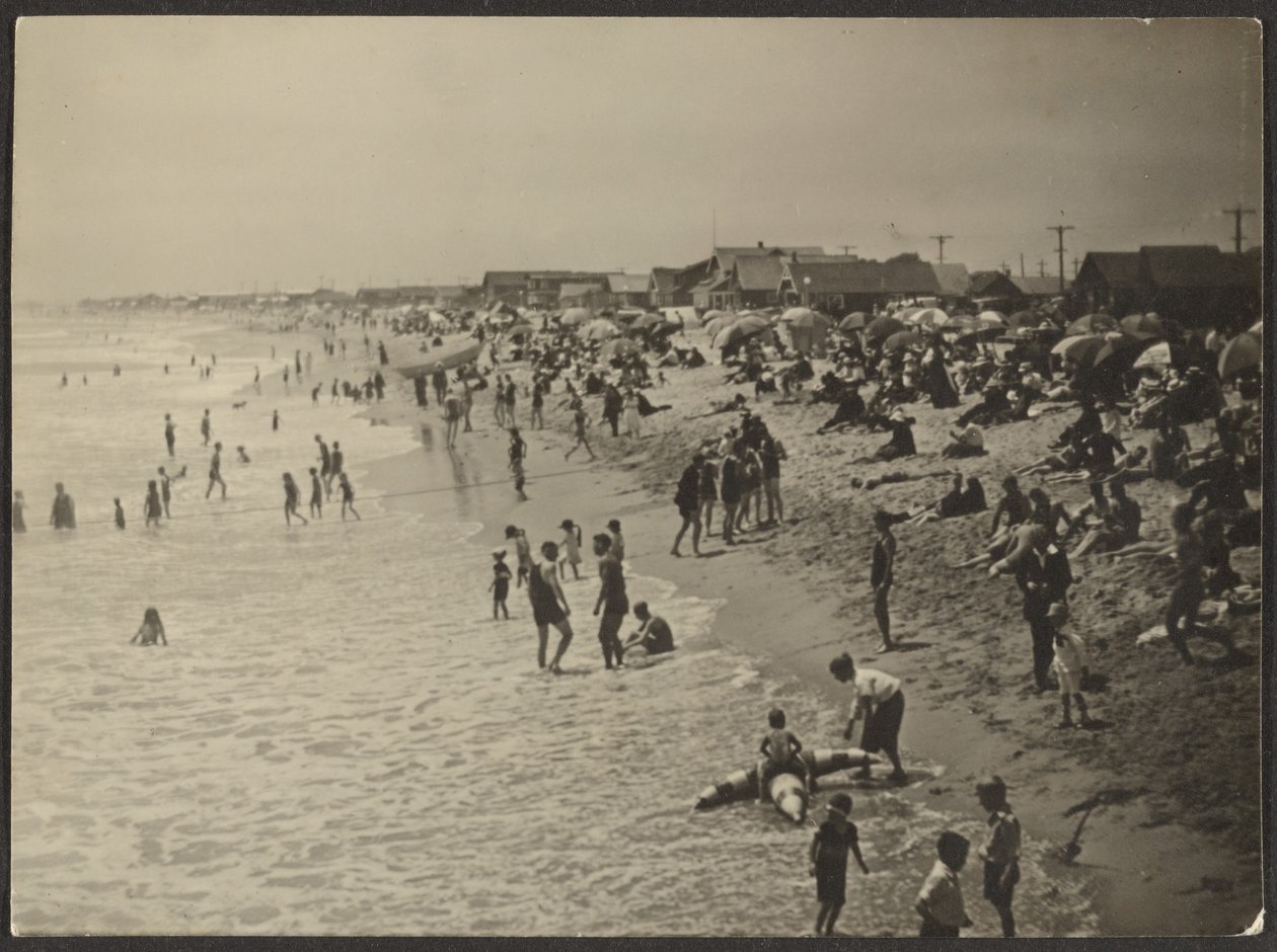 [Strandbillede] af Louis Fleckenstein