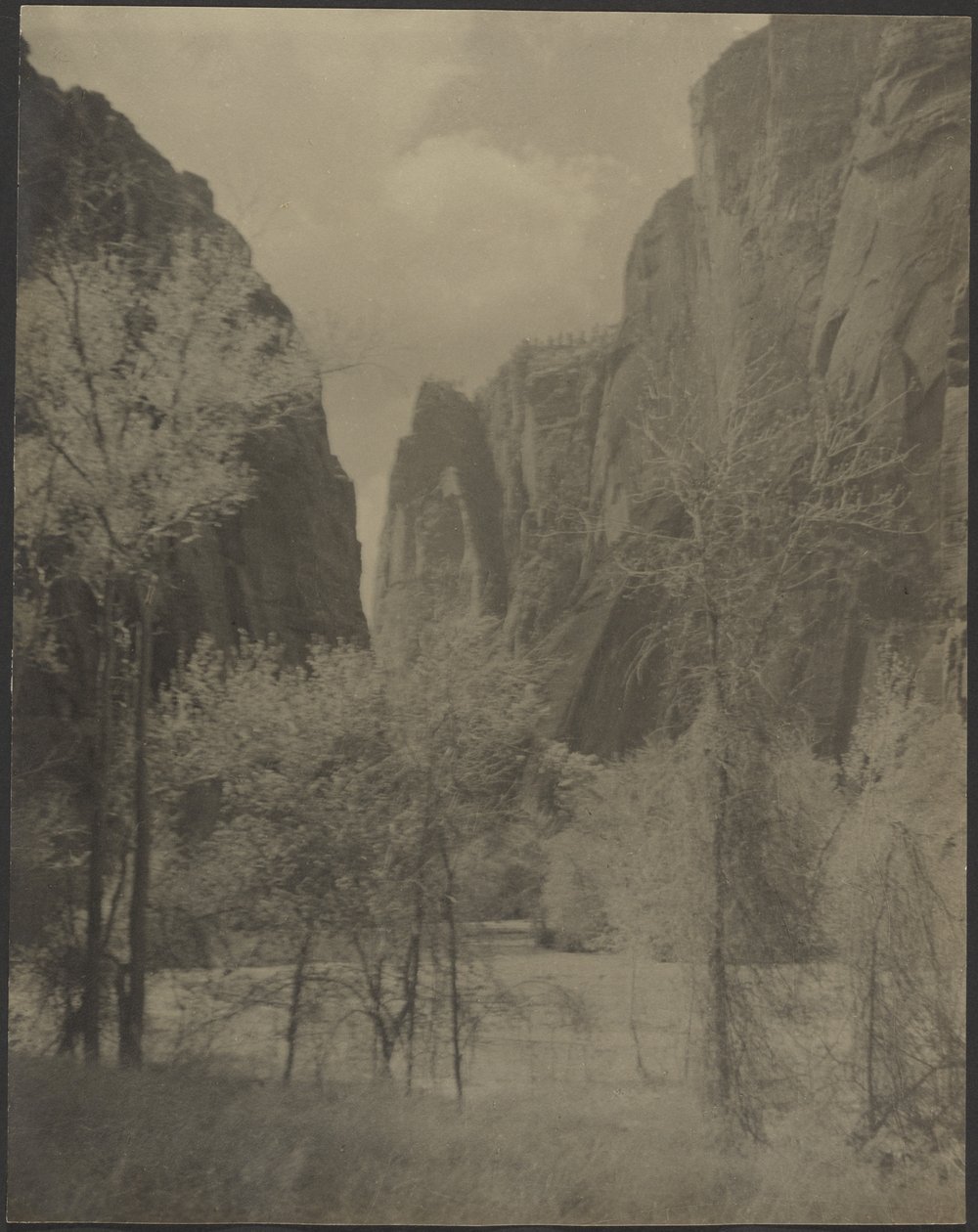 [Canyon Landscape] af Louis Fleckenstein