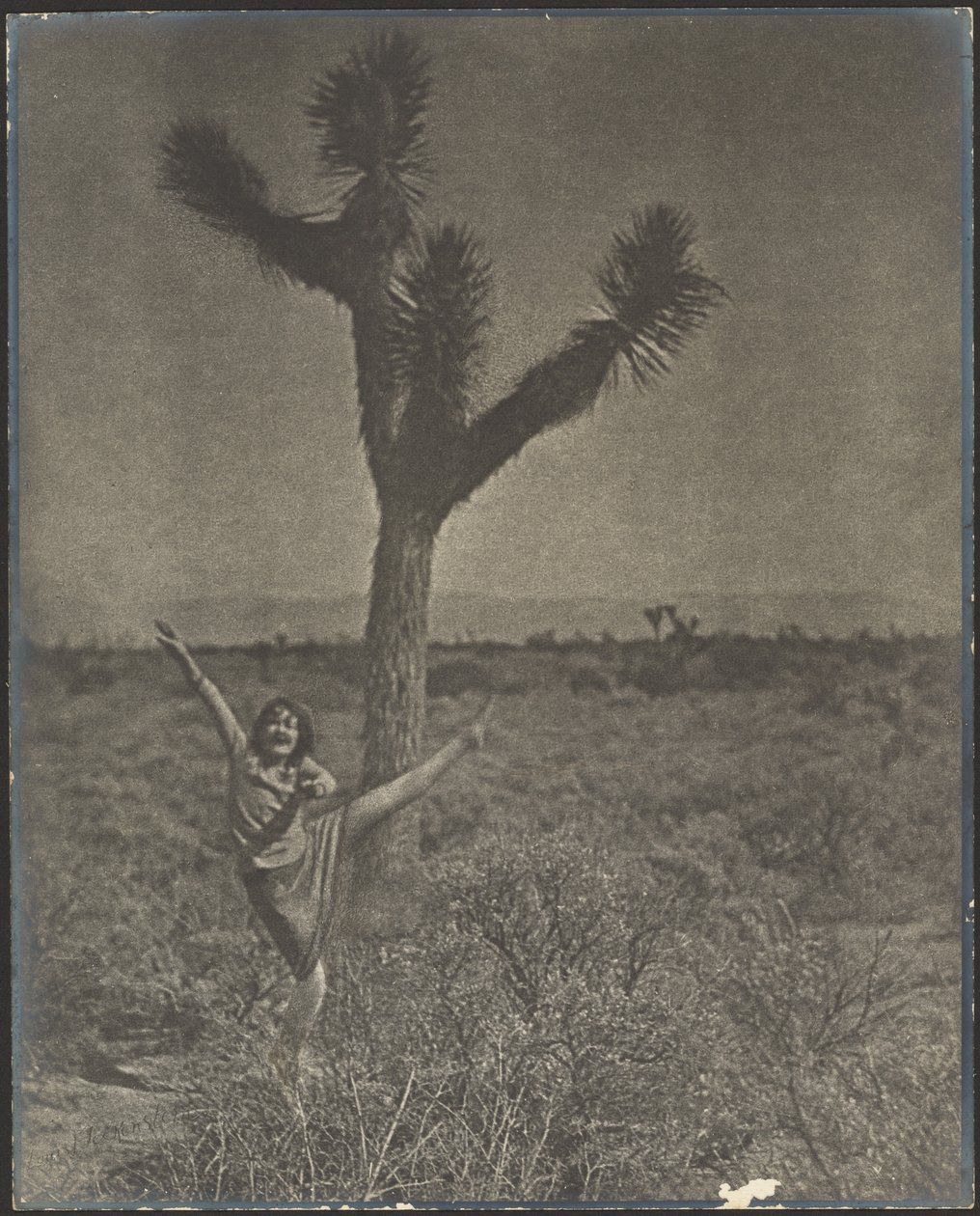 [Danser ved Joshua Tree] af Louis Fleckenstein