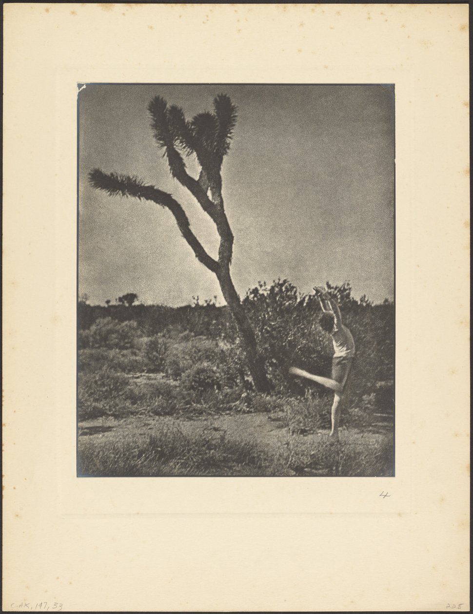 [Danser ved Joshua Tree] af Louis Fleckenstein