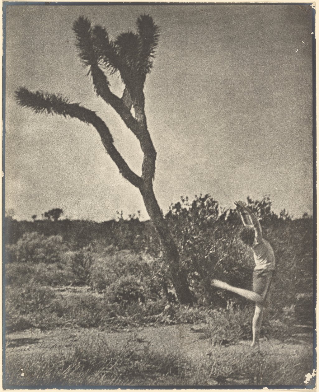 [Danser ved Joshua Tree] af Louis Fleckenstein