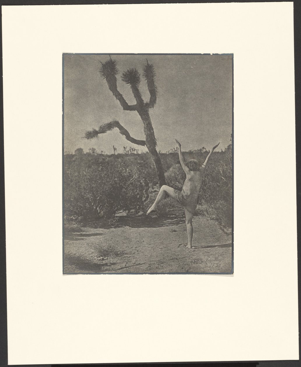 Dansende mester af Louis Fleckenstein