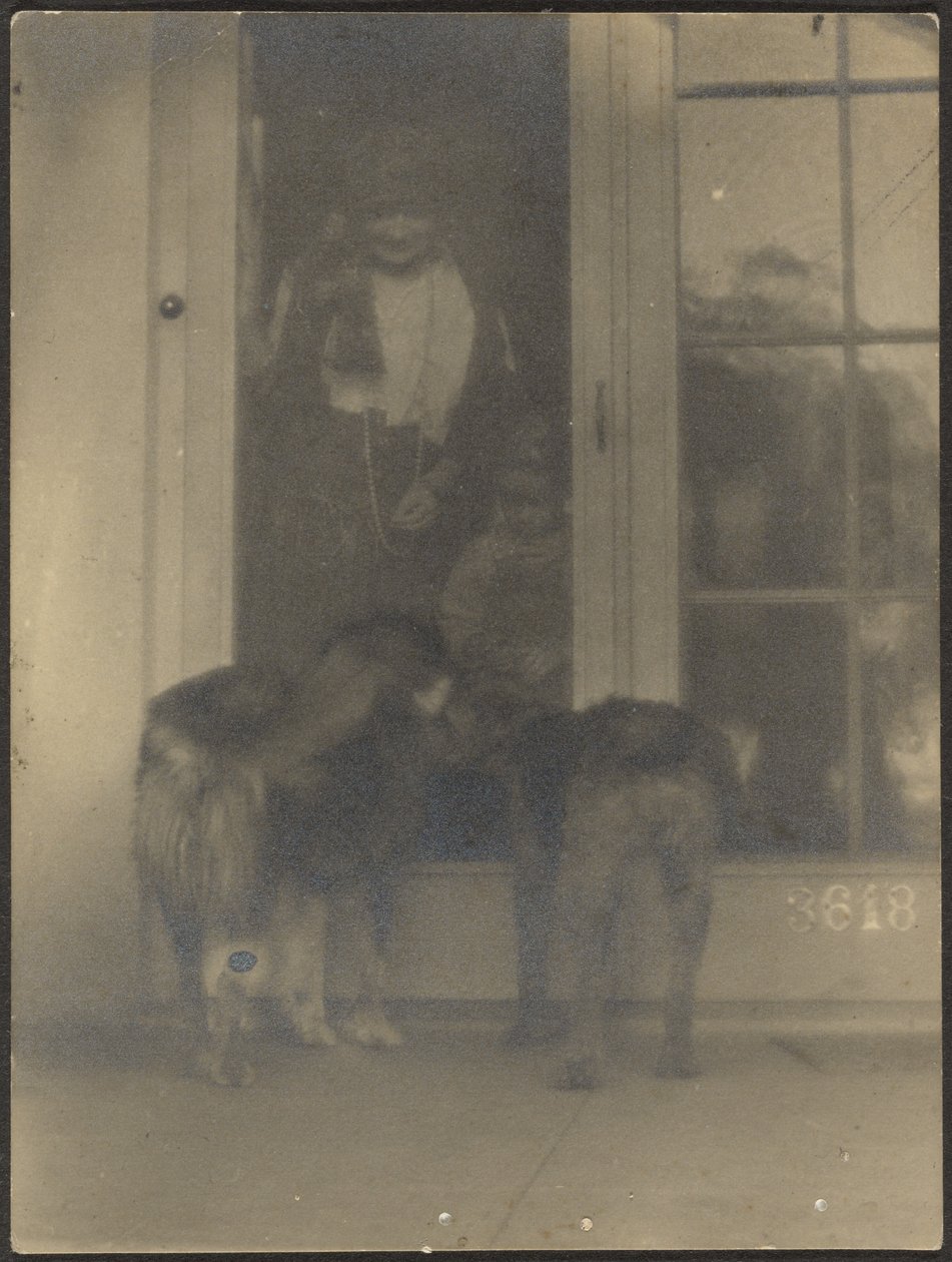 [Hunde ved døren] af Louis Fleckenstein