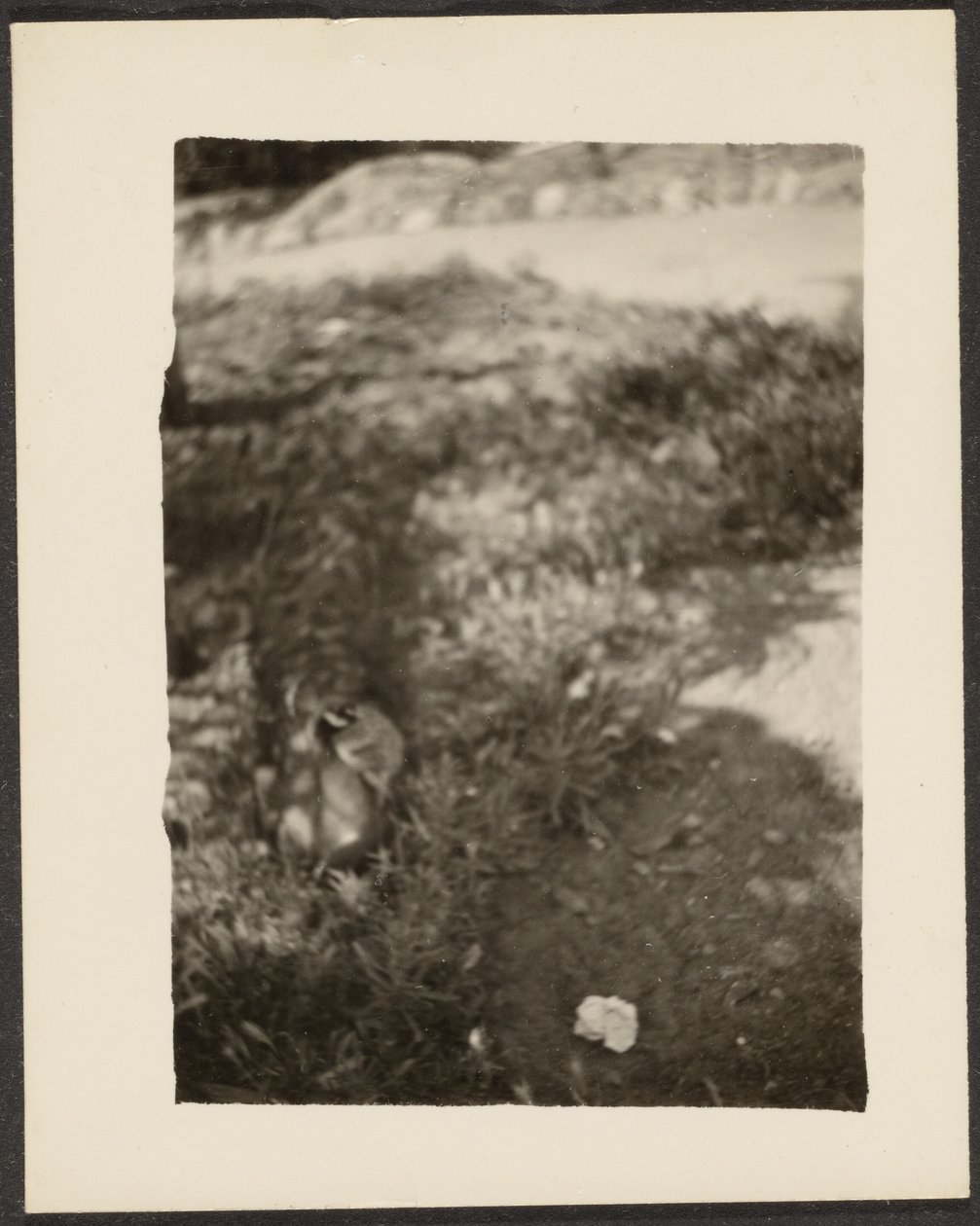 [And i landskab] af Louis Fleckenstein