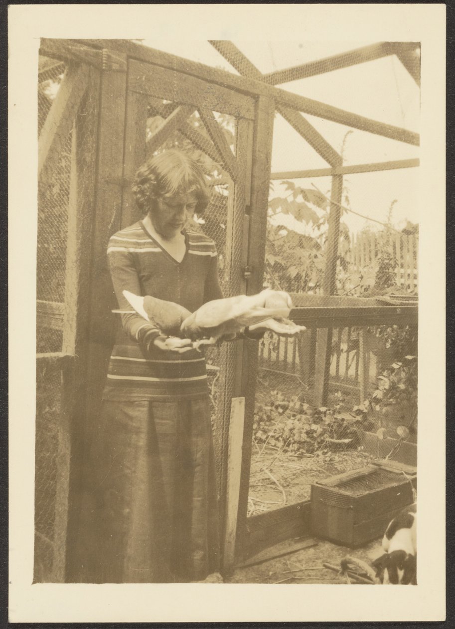 [Florence fodrer duer]. af Louis Fleckenstein