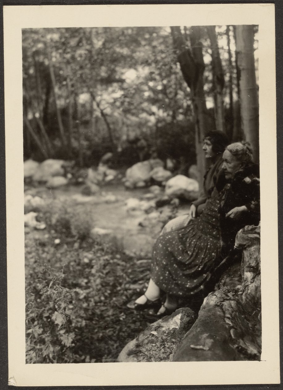 [Florence og fru Fleckenstein ved Forest Stream] af Louis Fleckenstein