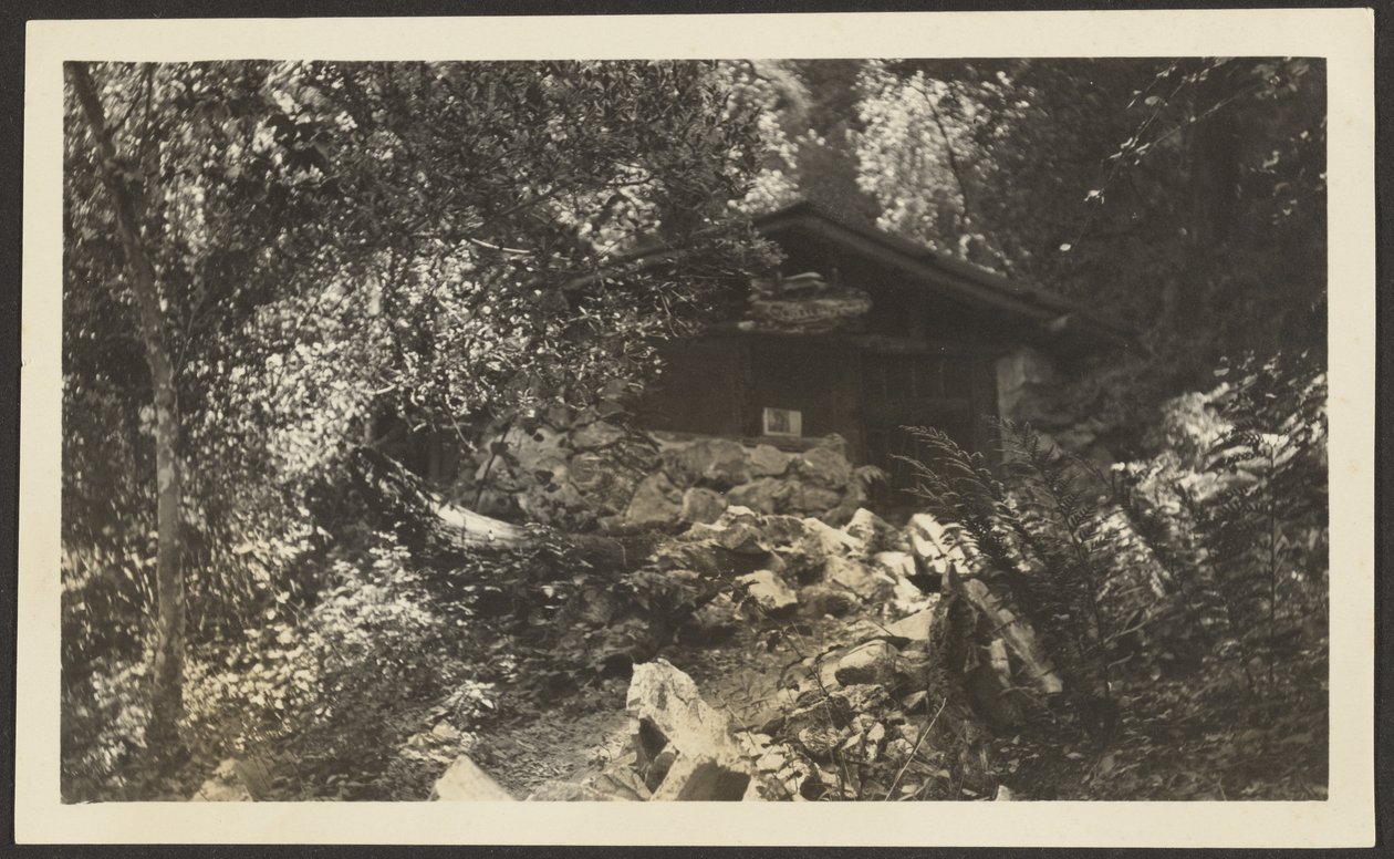 [Forest Lodge] af Louis Fleckenstein