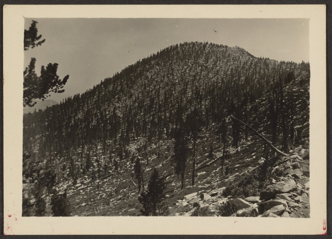 [Jean Peak fra Trail] af Louis Fleckenstein