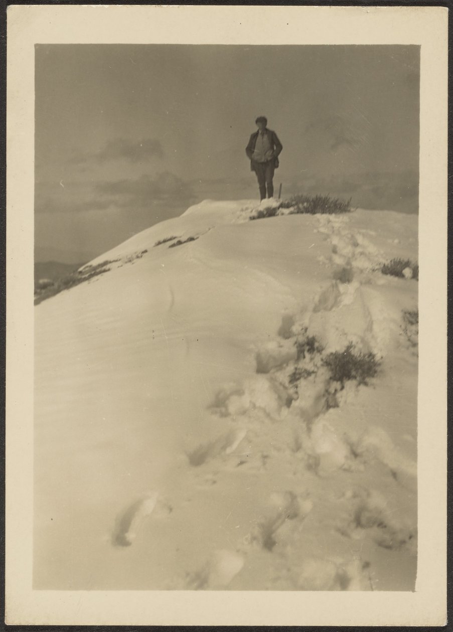 [Louis Fleckenstein på Telescope Peak]. af Louis Fleckenstein