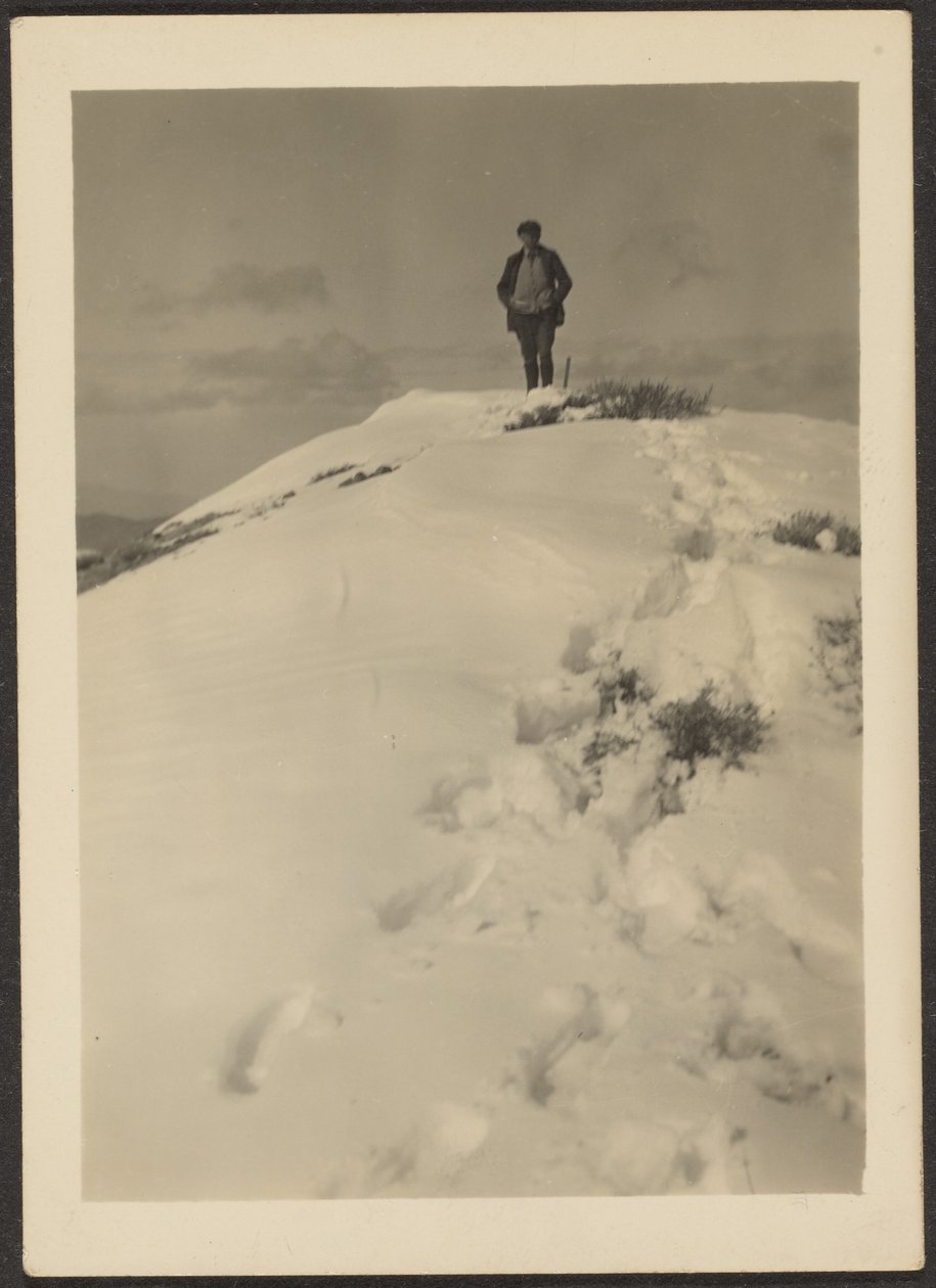 [Louis Fleckenstein på Telescope Peak]. af Louis Fleckenstein