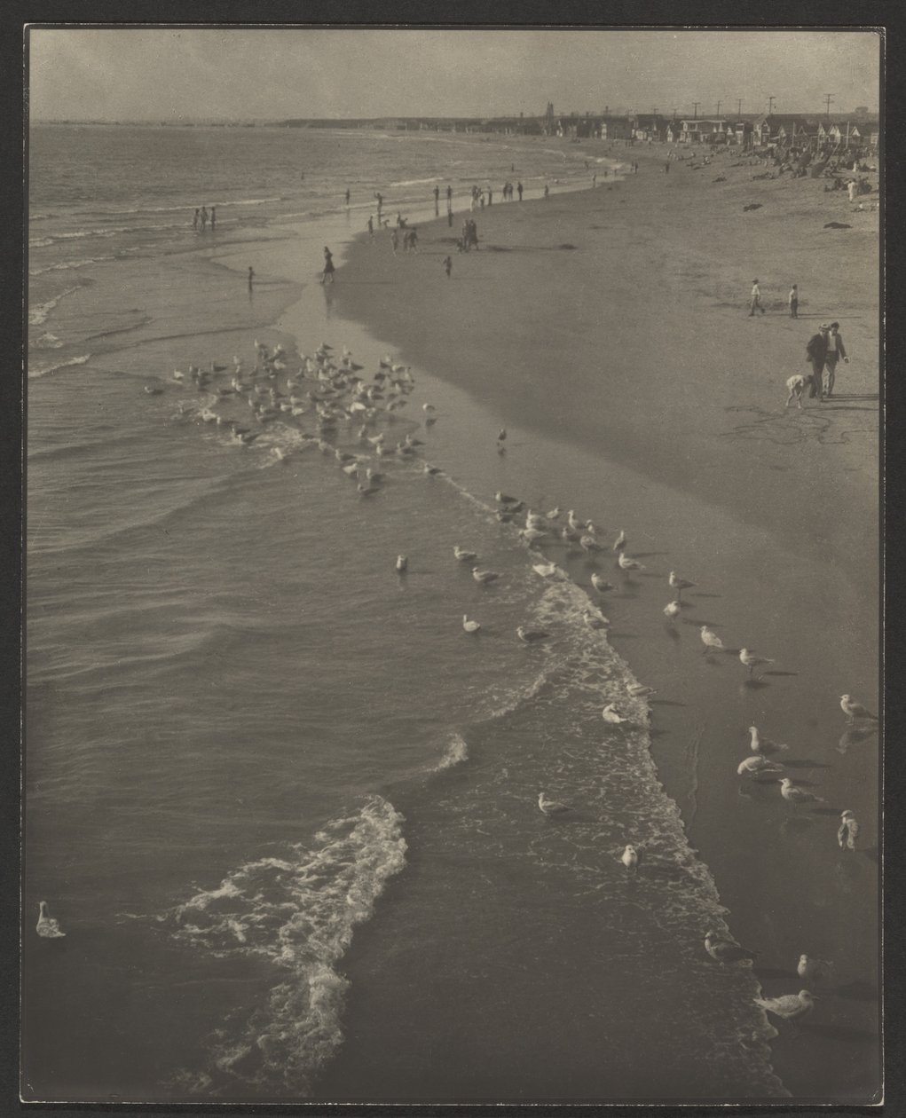 Newport Beach af Louis Fleckenstein