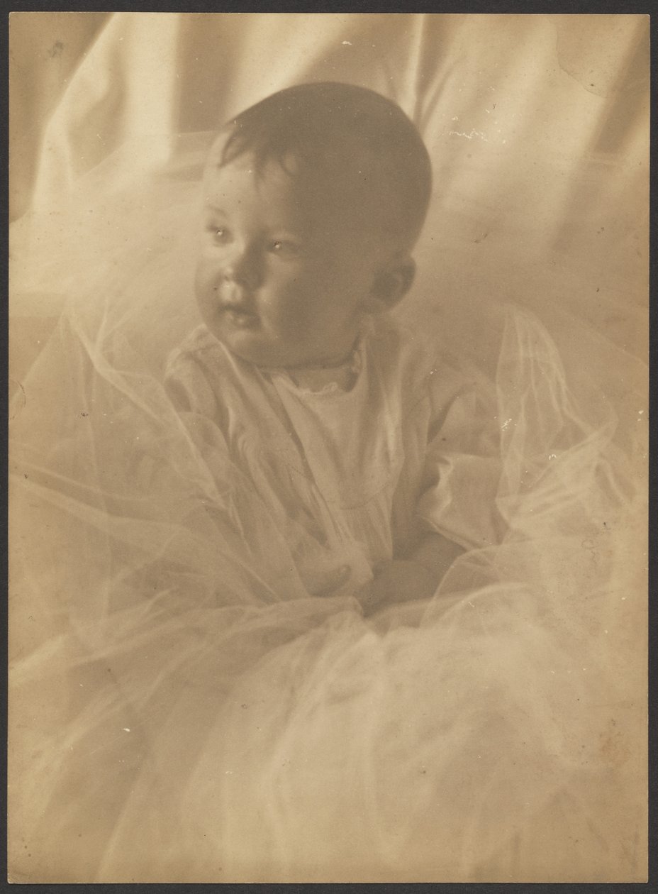 [Portræt af en baby omgivet af tyl] af Louis Fleckenstein