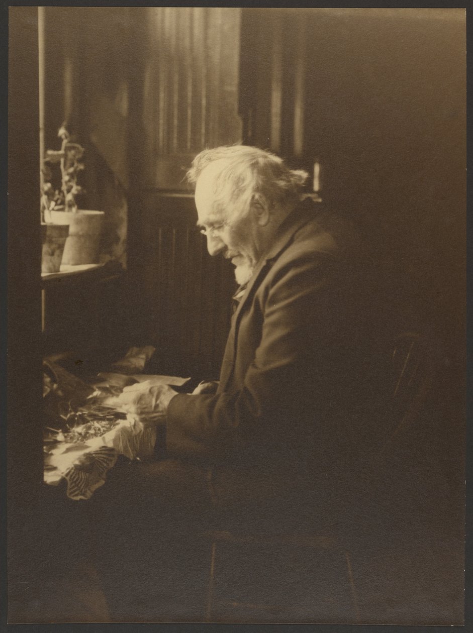 [Portræt af en mand, der arbejder ved et skrivebord]. af Louis Fleckenstein